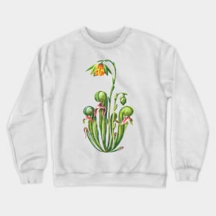 Kopie von Cobra Lily Darlingtonia Californica Apparel Botanical Drawing Pitcher Plant Crewneck Sweatshirt